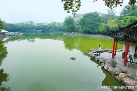 三年级文章夸家乡500字,二年级夸家乡文章150字