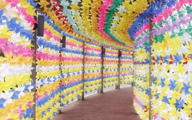 清明哪里合适踏青旅游,踏青沈北蒲河