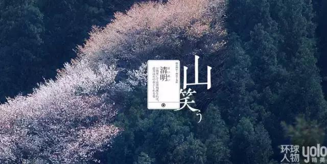 气清景明万物生长意思,清明节风和日丽万物萌生