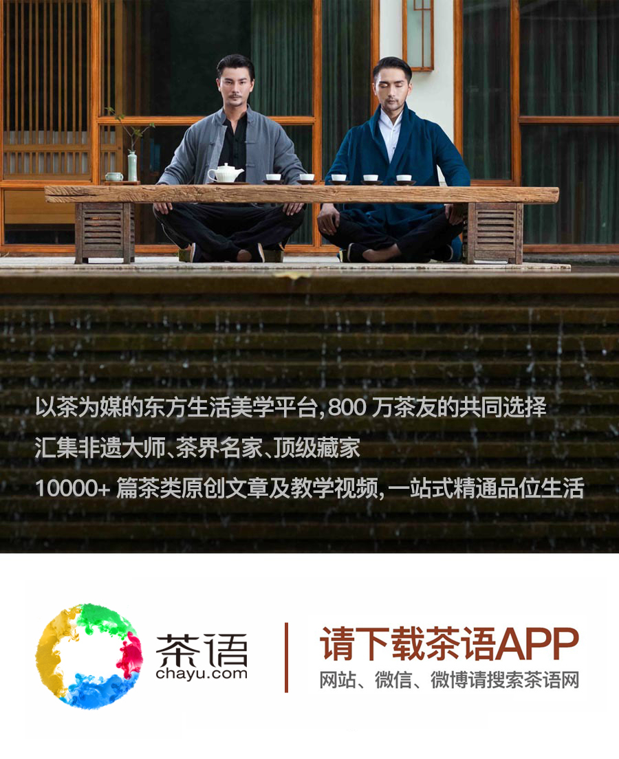 请你来为这部号称“茶盲教科书”的剧集挑挑错，给编剧上一课！