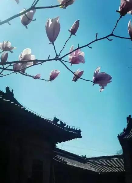 关于清明时节的古诗有哪些,关于清明的古诗并赏析