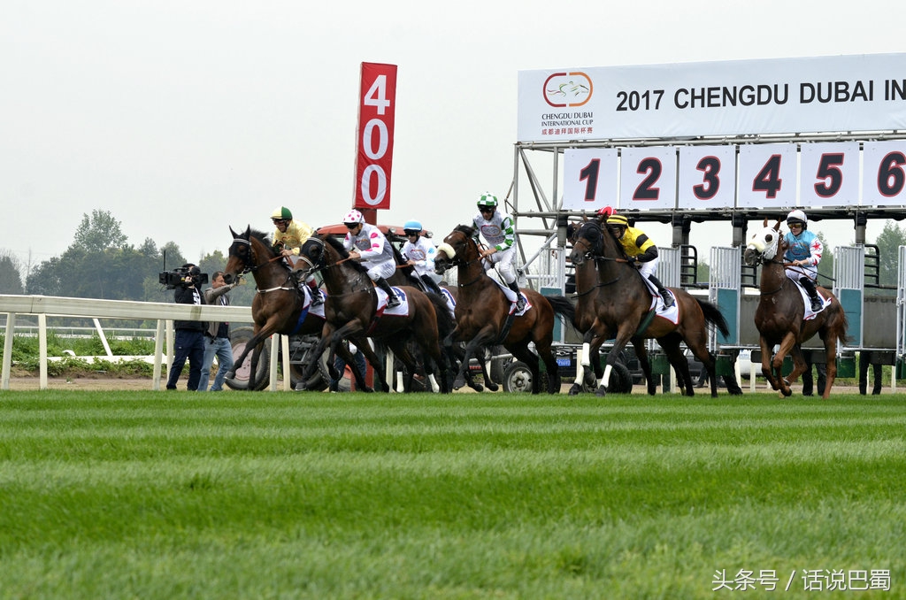 成都迪拜国际杯赛马今日举行中国骑师王文勋首战告捷