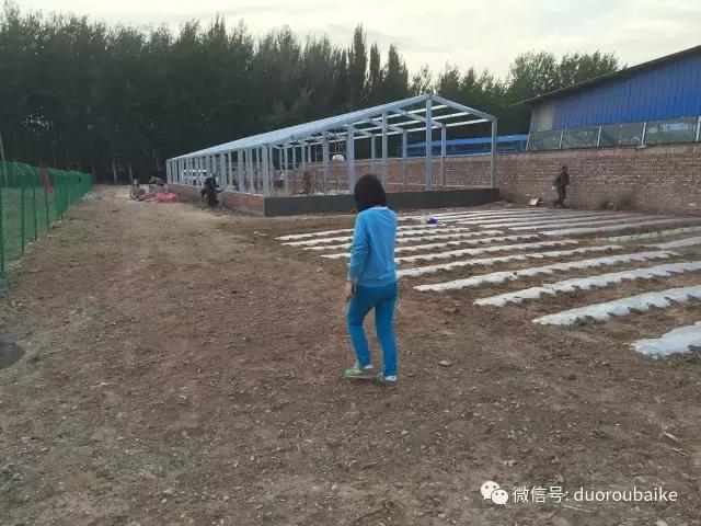 一入肉坑深似海下一句,一入肉坑深似海