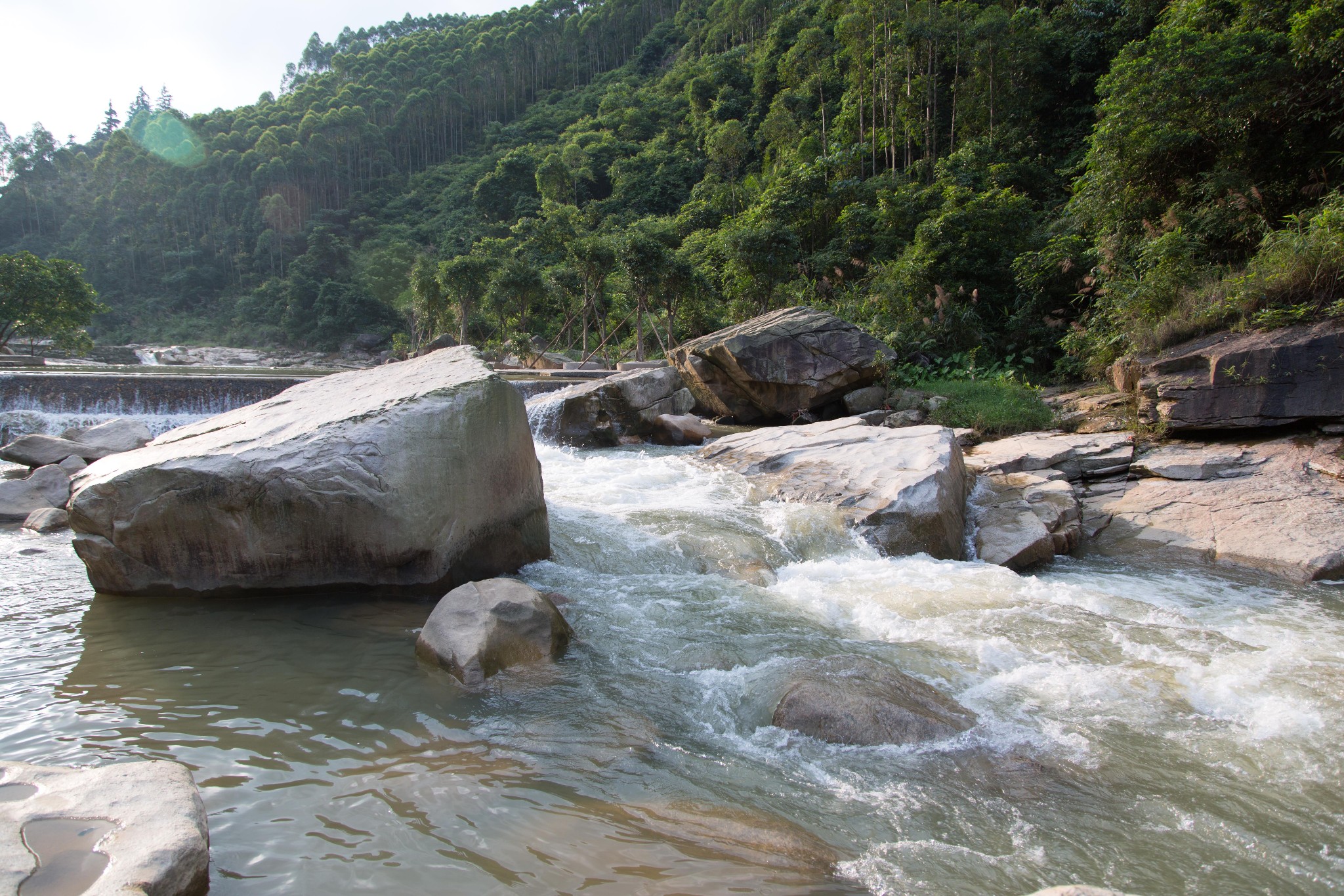 温碧霞是广东四会哪里人,温碧霞老家四会哪个镇