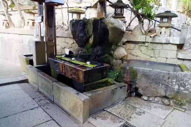 日本奈良看小鹿,日本奈良看小鹿视频