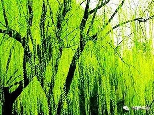 踏青的优美古诗词名句经典,描写春天出游踏青的古诗词