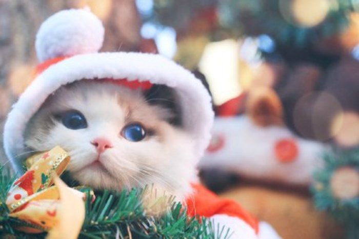 怎么化妆不卡粉遮瑕比较好,隔离定妆保湿妆前乳怎么用好看