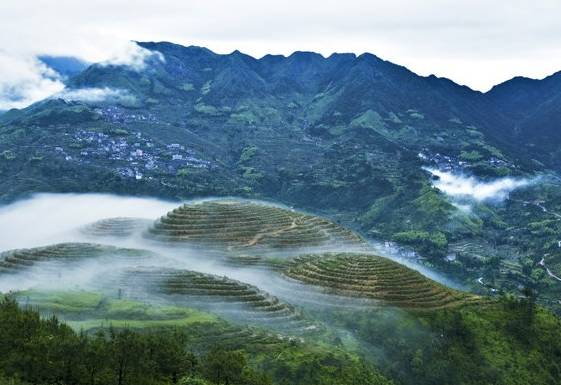 青田旅游路线推荐,青田周末自驾游