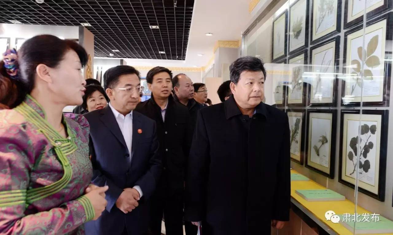 全市基层党建观摩圆满告捷,基层党建观摩交流