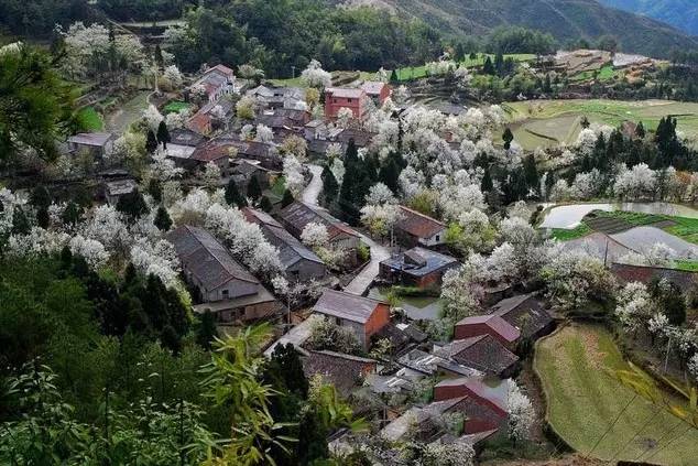 青田旅游路线推荐,青田周末自驾游