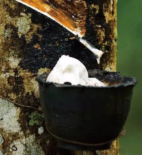 京造乳胶枕头和睡眠博士哪个好,乳胶1.5米长圆枕头护颈椎助睡眠