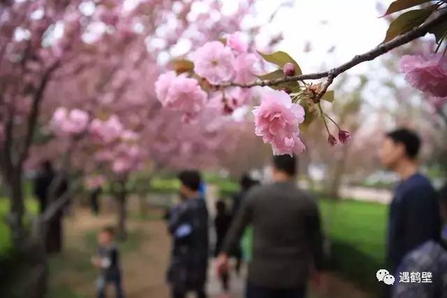 寻找紧急扩散人员名单,紧急寻找紧急扩散