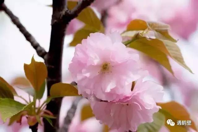 寻找紧急扩散人员名单,紧急寻找紧急扩散