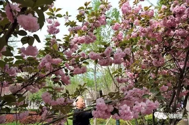 寻找紧急扩散人员名单,紧急寻找紧急扩散