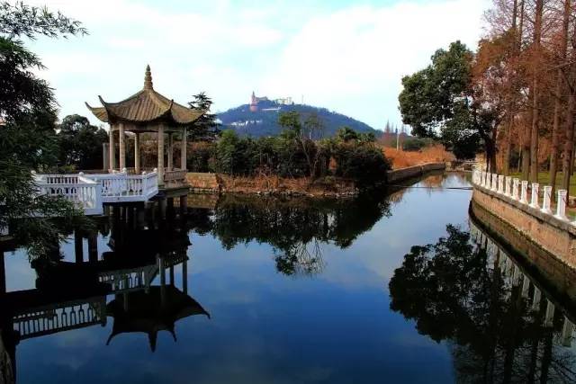 上海奉贤一日游最佳景点一览表,上海宝山区最值得去的五个景点
