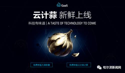 今日头条最奇葩的视频,今日头条最奇葩的事件