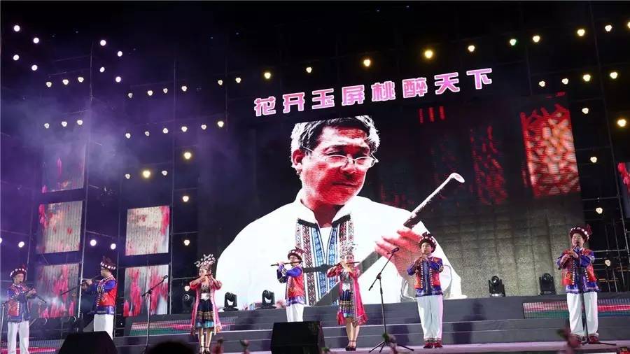 蒋大为、唐俊乔、陆海涛等大咖与玉屏万人共度桃花节