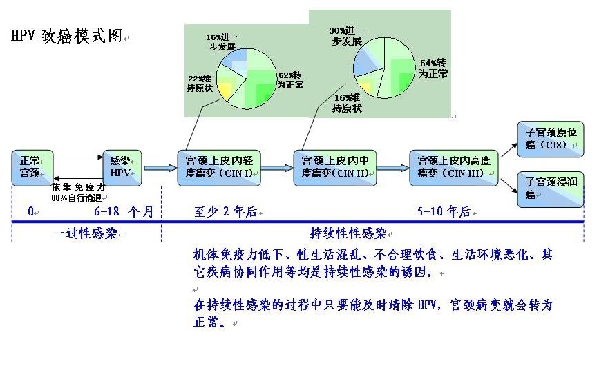 宫颈癌前病变cin2治愈率,宫颈管内癌前病变属于cin么