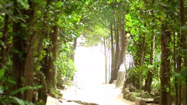 weekendescape,weekendescape什么意思