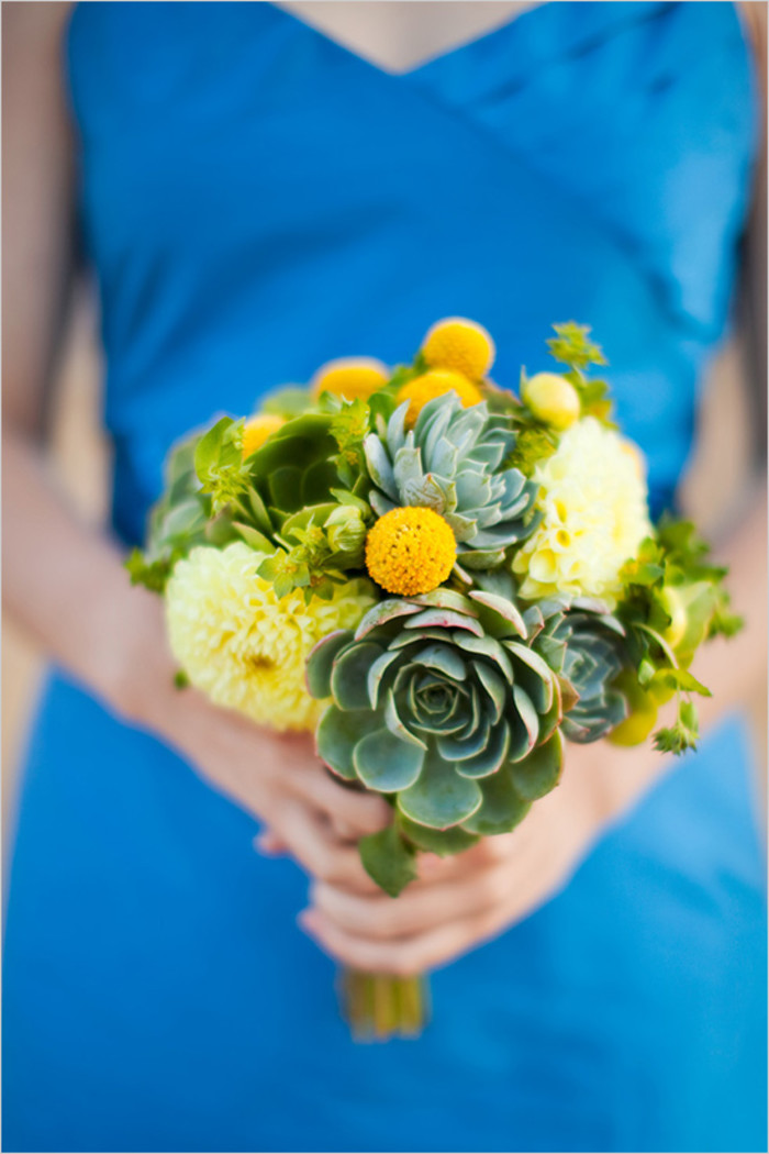 一股清香，一股青苹果香味的多肉植物百合丽丽，合适做多肉手捧花