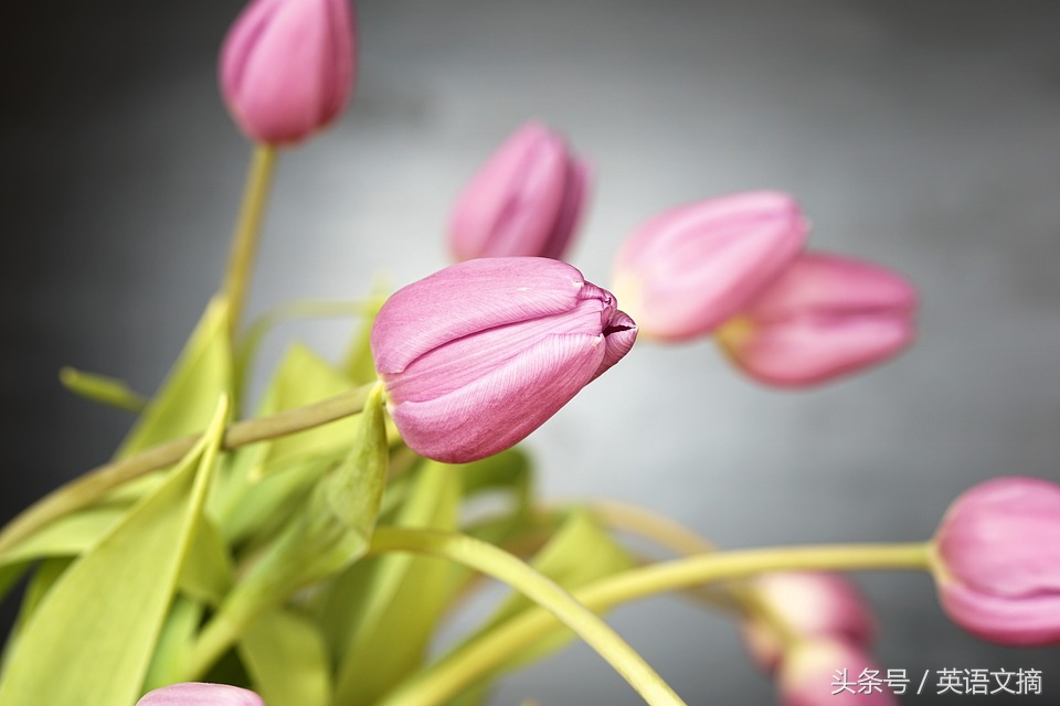 今生只爱你30集完全版,今生只爱你歌曲