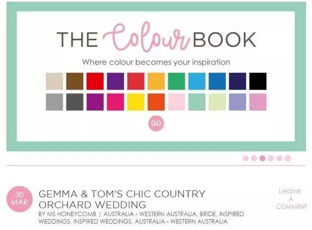 2017年超优秀的100个国外婚礼博客，赶紧收藏！错过无