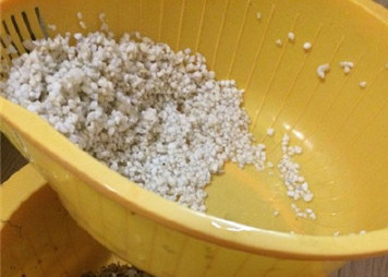 哪种兰花长在石头里好养,用兰花种子培育兰花几年才能开花