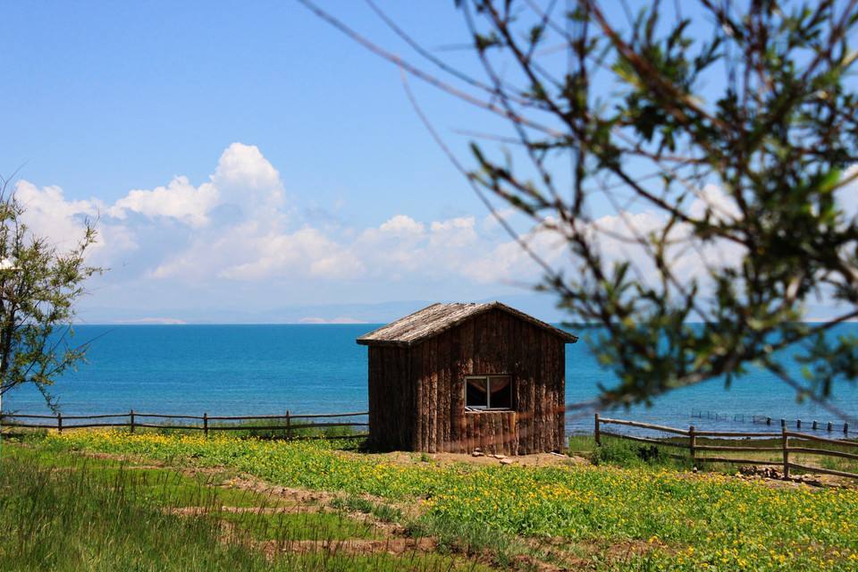 对瓦尔登湖的解读与感悟,瓦尔登湖最让人平静的十句话