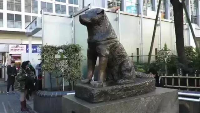 东京旅游一定要去的10个地方,去东京旅游有什么好玩的地方