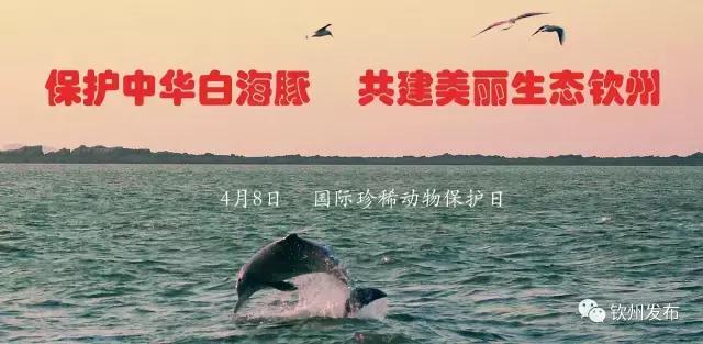 2019年广西网络文学大赛评奖结果,第五届广西网络文学大赛获奖作品