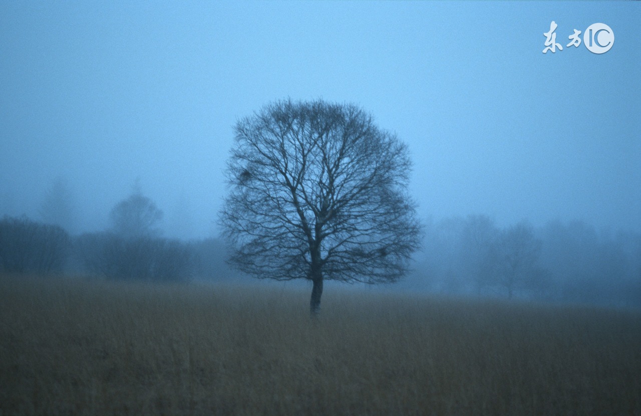 早发现早干预,儿童早期干预能解决什么问题