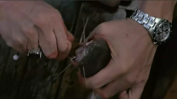 最经典的泰国恐怖片太吓人,推荐几部泰国经典恐怖片