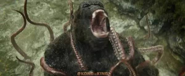 集结潮牌大牌,明星单品集结