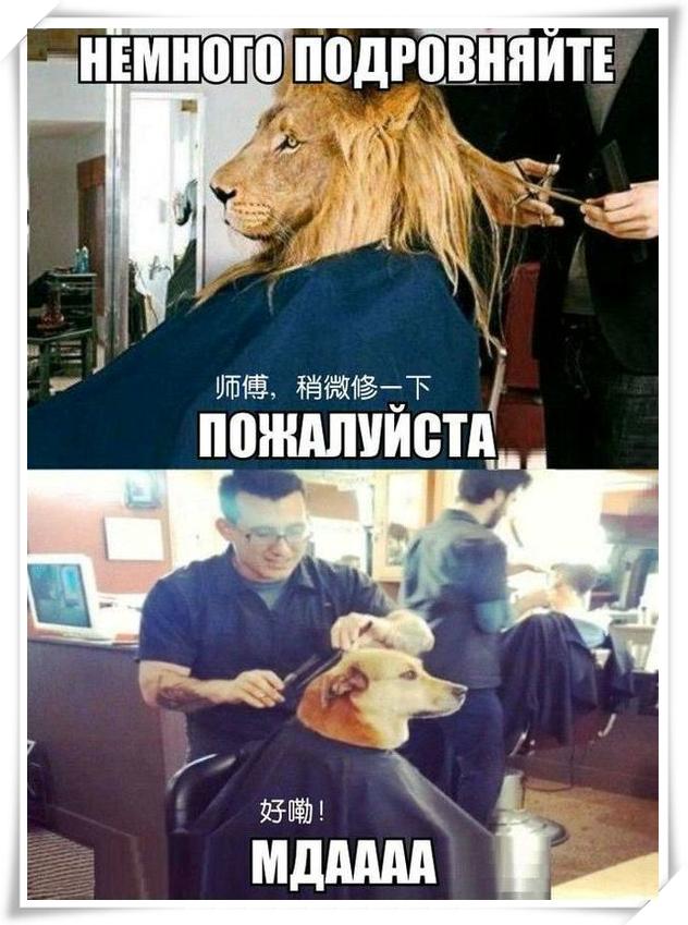 你与发型师之间的距离,为什么和理发师老有代沟