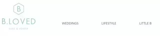 2017年超优秀的100个国外婚礼博客，赶紧收藏！错过无