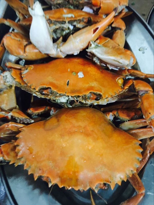 三亚旅游攻略家庭美食推荐,带着父母旅游三亚6日