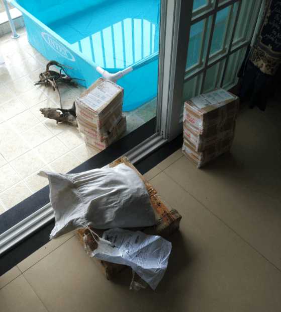 最便宜的鱼池推荐,一个观赏鱼池大概多少钱