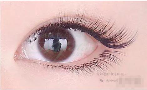 美睫店自嫁接睫毛胶水持久不辣眼,美睫睫毛嫁接胶水