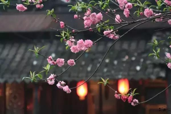 宋诗最经典300首宋词,宋诗历代名诗鉴赏