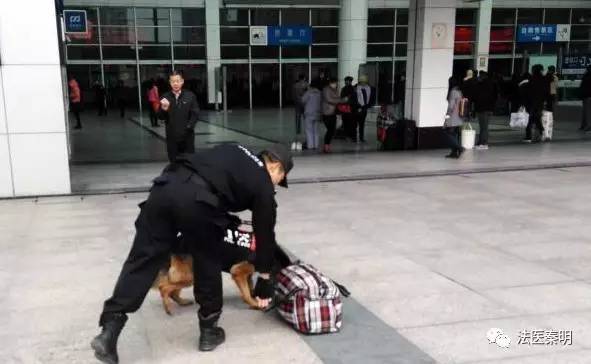 无意间能闻到异性体香说明什么,异性能够闻到对方体香吗