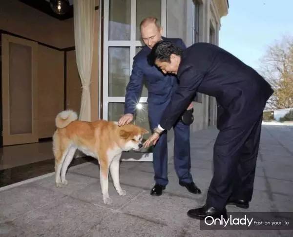 私人飞机？名牌包包？明星合影？这些宠物竟然这么大牌！