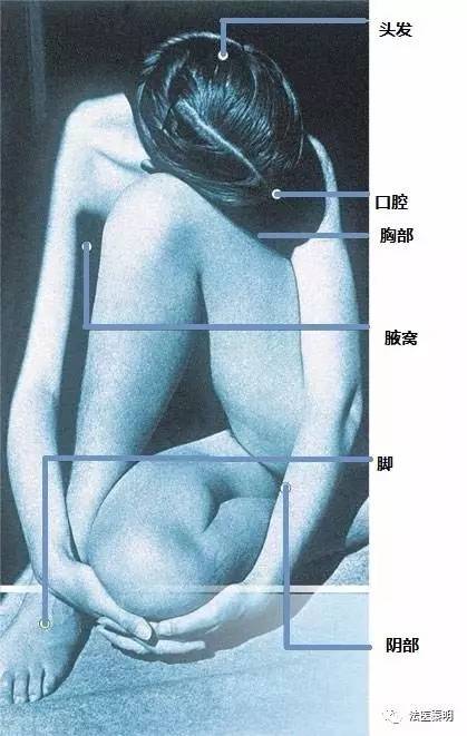 无意间能闻到异性体香说明什么,异性能够闻到对方体香吗