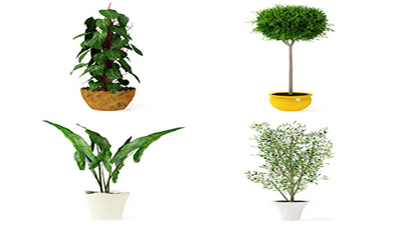 沙发怎么去除甲醛最有效方法,除甲醛有效方法用什么机器