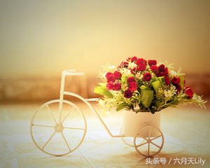 爱情是始于颜值陷于才华忠于人品,爱情的意识层面始于颜值忠于人品