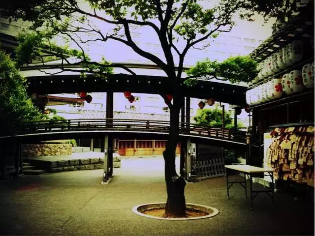 东京旅游一定要去的10个地方,去东京旅游有什么好玩的地方