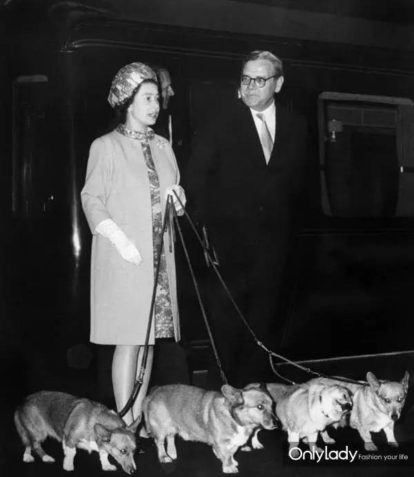 私人飞机？名牌包包？明星合影？这些宠物竟然这么大牌！