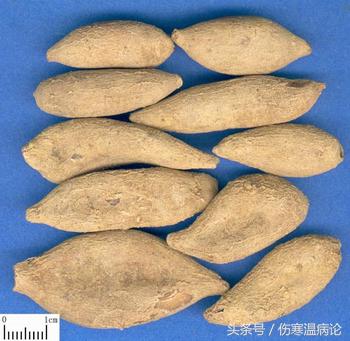 一药一方一论一案之四二