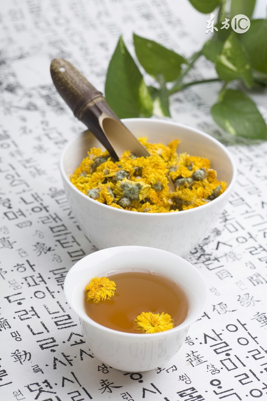 菊花有什么副功能和禁忌,菊花有啥副功能和禁忌
