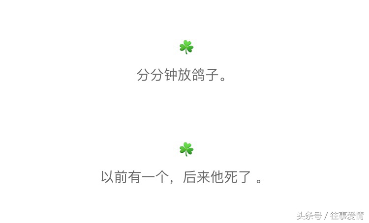 有一个特爱炫耀的室友,室友特别喜欢秀恩爱