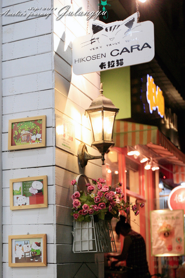 鼓浪屿完全攻略 (鼓浪屿详细攻略大全)